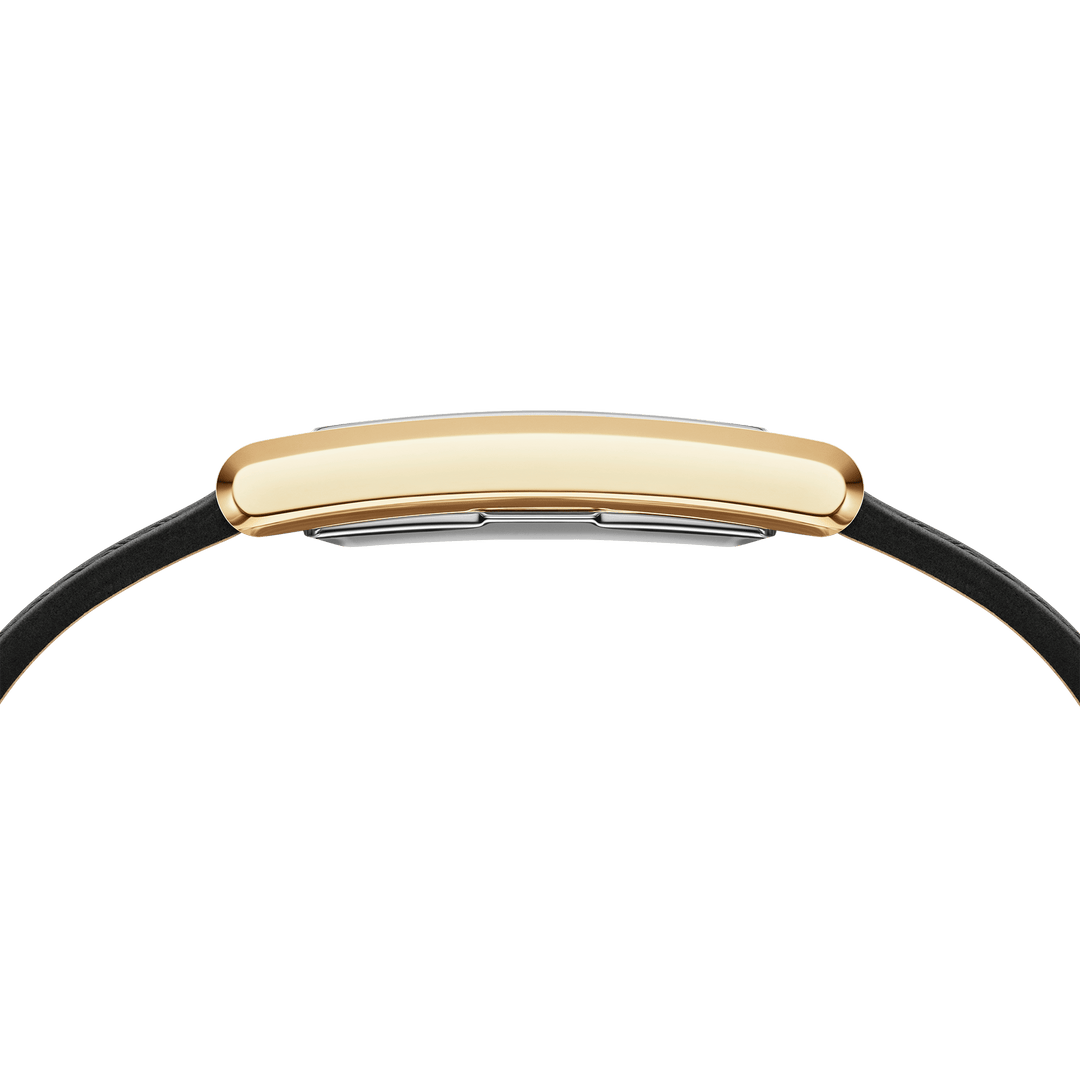 Bound Black Crocodile Gold