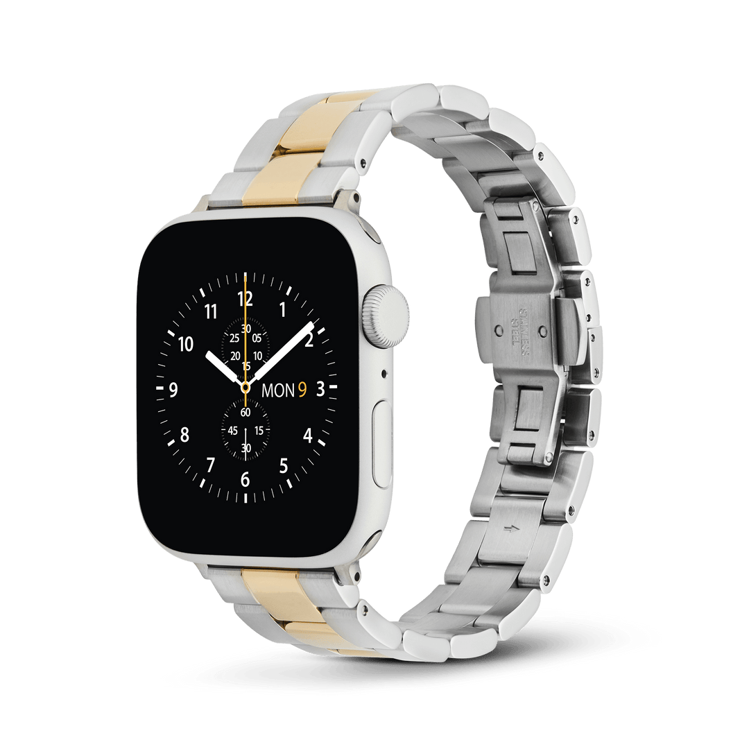 Smartwatch Iconic Link two-tone